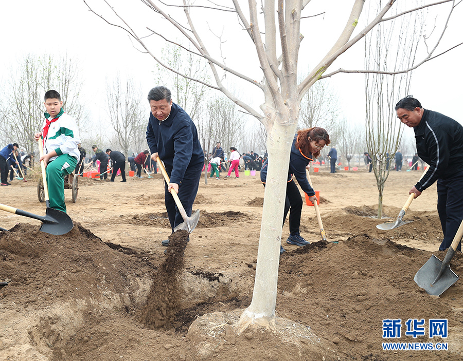 習(xí)近平：像對(duì)待生命一樣對(duì)待生態(tài)環(huán)境 讓祖國(guó)大地不斷綠起來(lái)美起來(lái)